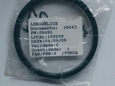 Detalhes da aeronave S8491